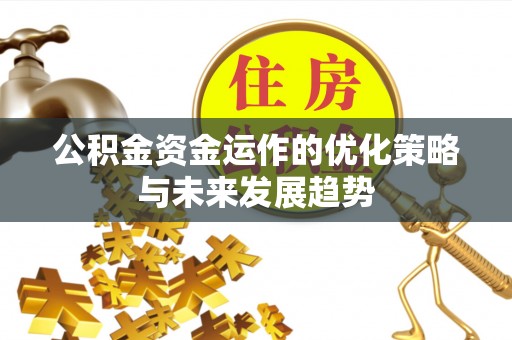 安多公积金资金运作的优化策略与未来发展趋势