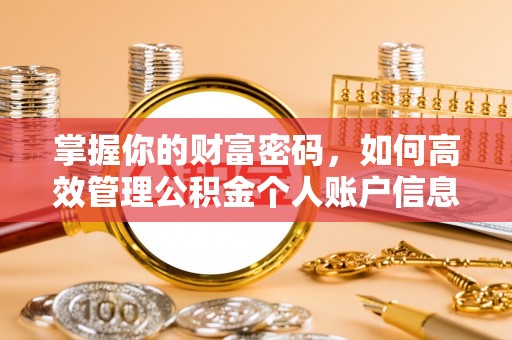 安多掌握你的财富密码，如何高效管理公积金个人账户信息