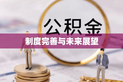 安多制度完善与未来展望