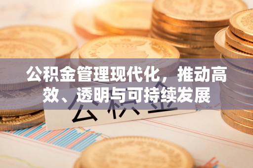 安多公积金管理现代化，推动高效、透明与可持续发展