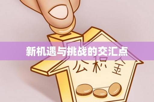 安多新机遇与挑战的交汇点