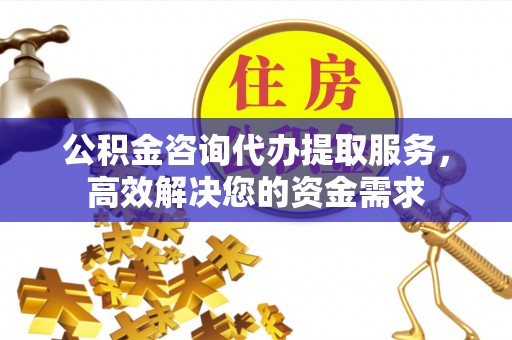 安多公积金咨询代办提取服务，高效解决您的资金需求