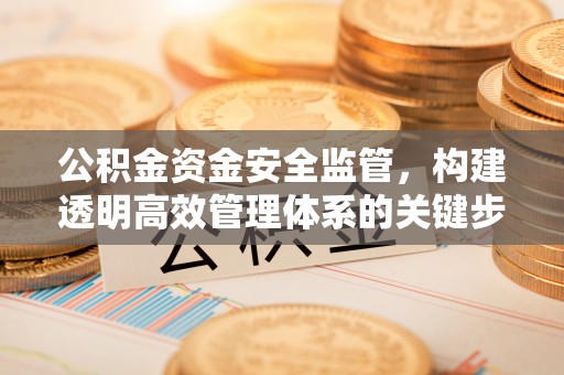 安多公积金资金安全监管，构建透明高效管理体系的关键步骤