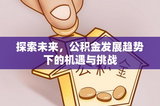 安多探索未来，公积金发展趋势下的机遇与挑战