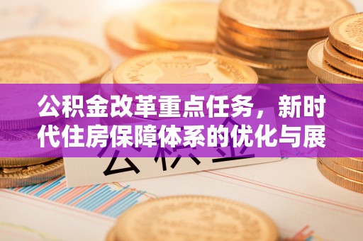安多公积金改革重点任务，新时代住房保障体系的优化与展望