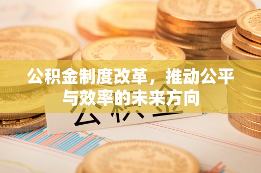 安多公积金制度改革，推动公平与效率的未来方向