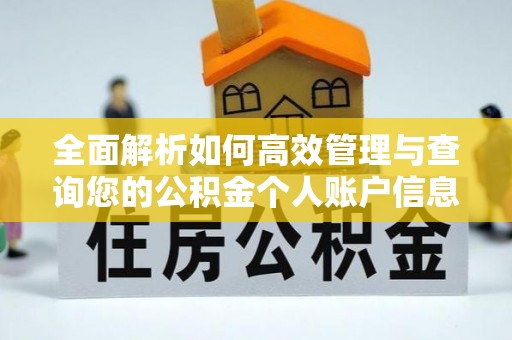 安多全面解析如何高效管理与查询您的公积金个人账户信息