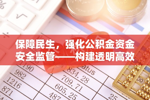 安多保障民生，强化公积金资金安全监管——构建透明高效的管理体系