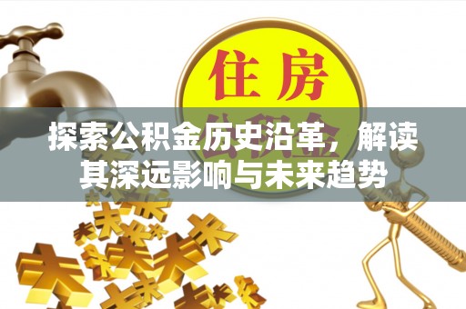 安多探索公积金历史沿革，解读其深远影响与未来趋势