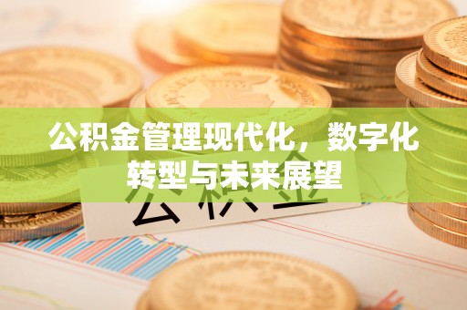安多公积金管理现代化，数字化转型与未来展望