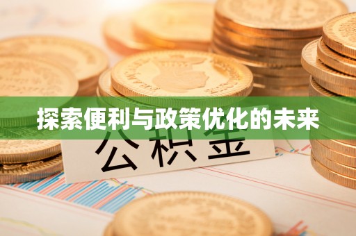 安多探索便利与政策优化的未来