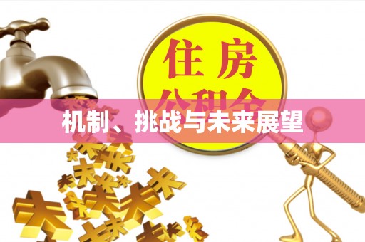 安多机制、挑战与未来展望
