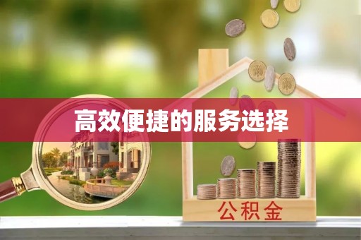 安多高效便捷的服务选择