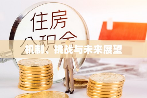 安多机制、挑战与未来展望